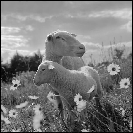 [Rozmiar: 57024 bajt�w]